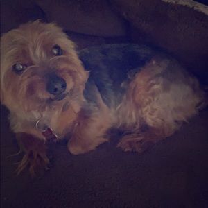 One of a kind custom made house shoes made in Iraq